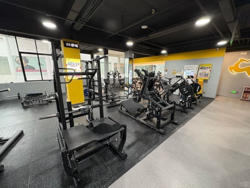 Schemat przedstawiający zalecane poziomy grubości dla różnych stref siłowni